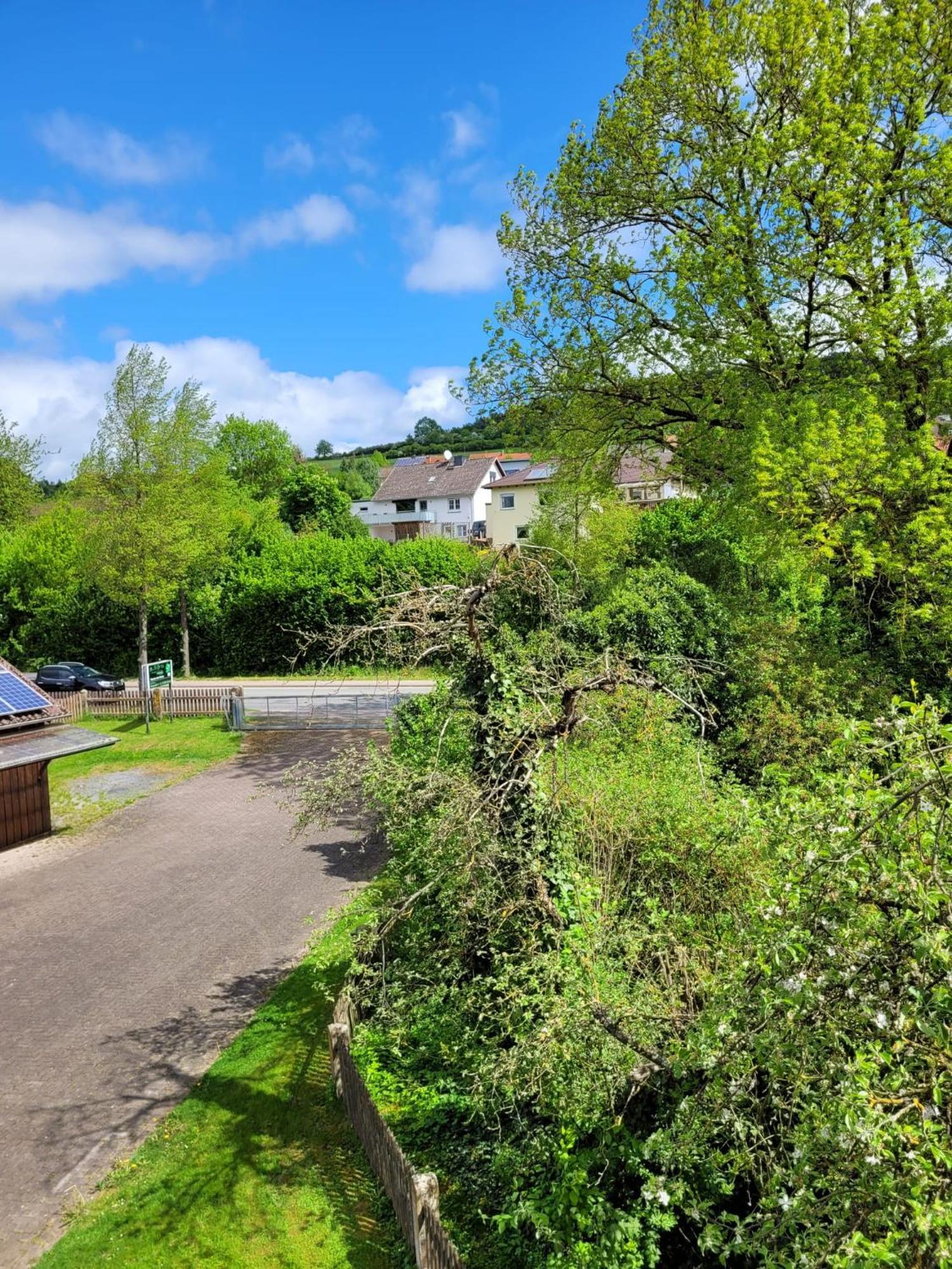 Ferienwohnung Zum Sollingtor Dassel Exterior foto
